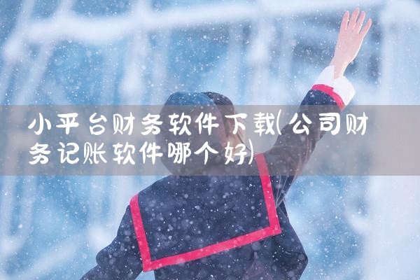 小平台财务软件下载
