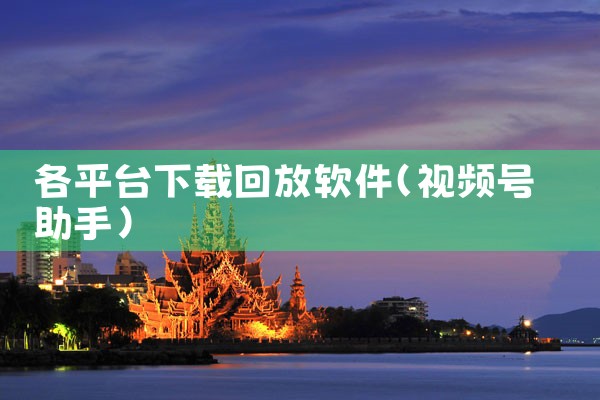 各平台下载回放软件