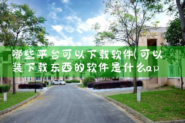哪些平台可以下载软件