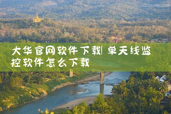 大华官网软件下载