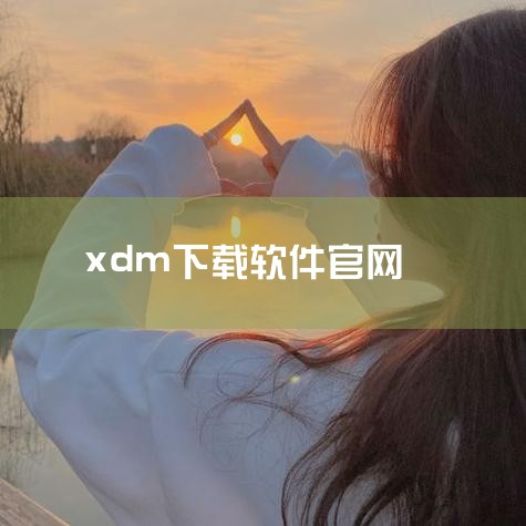 软件语言设置 XDM默认语言为英语，需要设置为简体中文。在菜单中选择“Tools”，然后选择“Language”，在...|