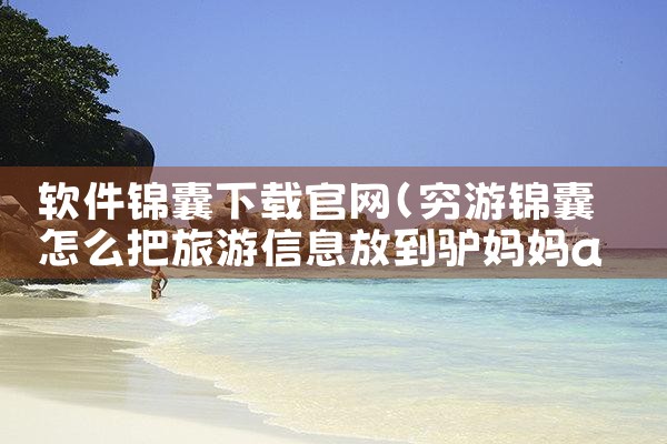 软件锦囊下载官网