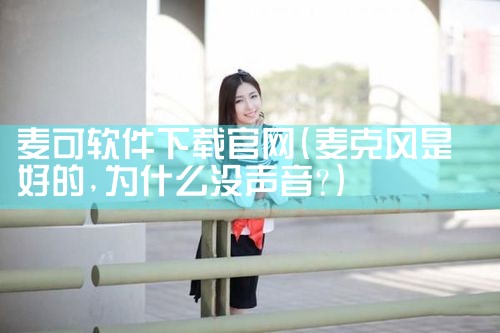 麦可软件下载官网