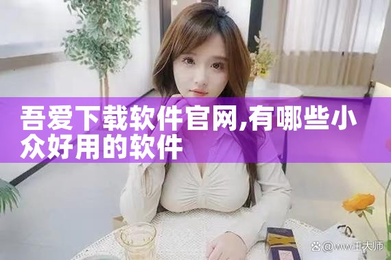 吾爱下载软件官网