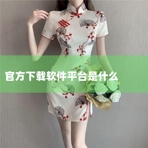 提供更稳定、更安全的应用下载服务。此外，还有安卓应用商店，它是为安卓系统用户提供软件及游戏下载服务的平台，包含手机厂商官方商店和第三方平台两大类。第三方平台如豌豆荚、应用宝等，也为用户提供了大量的应用,