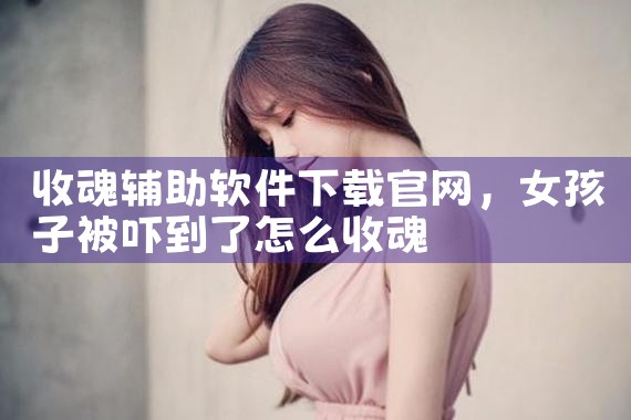 收魂辅助软件下载官网