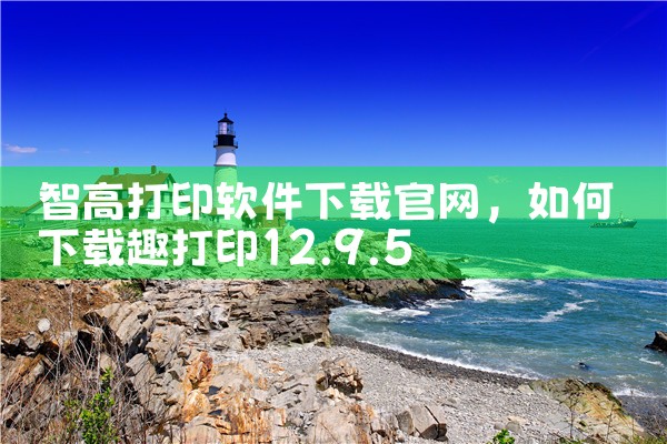 智高打印软件下载官网