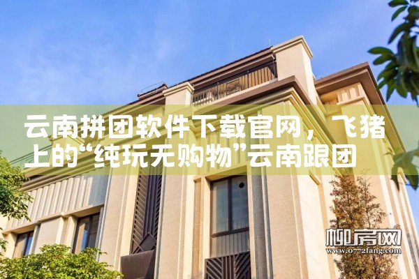 云南拼团软件下载官网