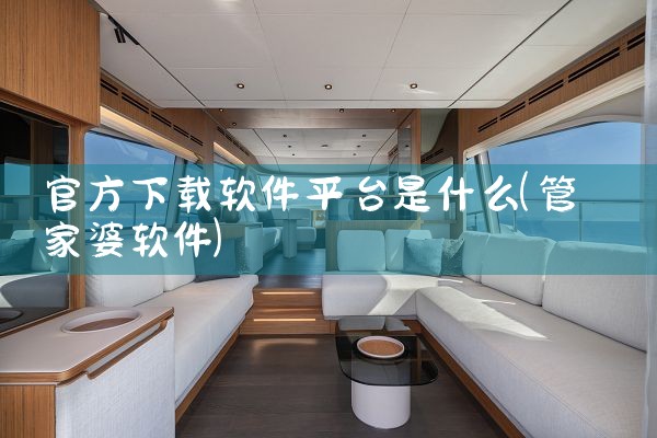 官方下载软件平台是什么