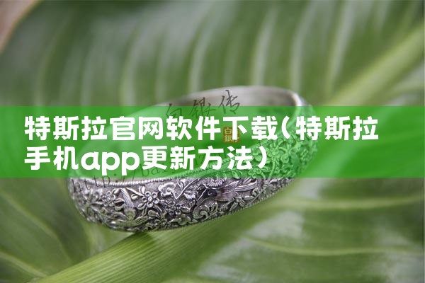 特斯拉官网软件下载