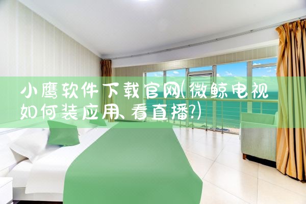 小鹰软件下载官网