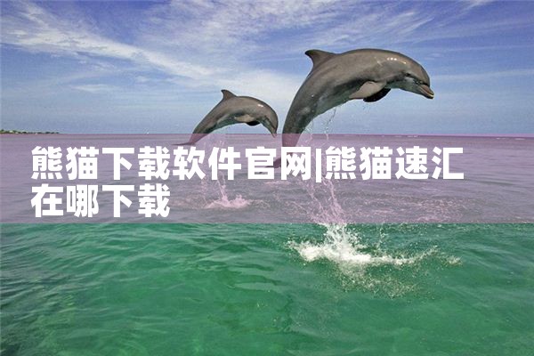 熊猫下载软件官网