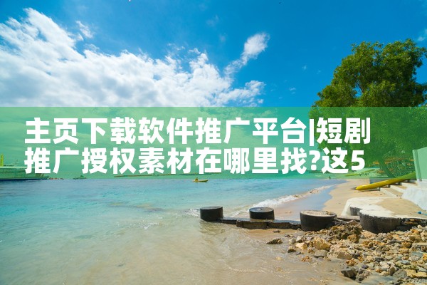 主页下载软件推广平台